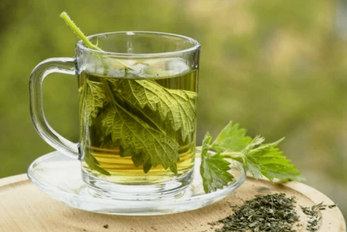 Ortiga tea